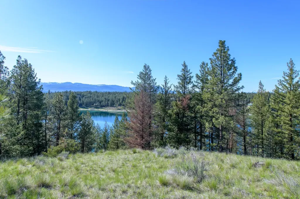 2650 Sophie Lake Road Eureka MT 59917