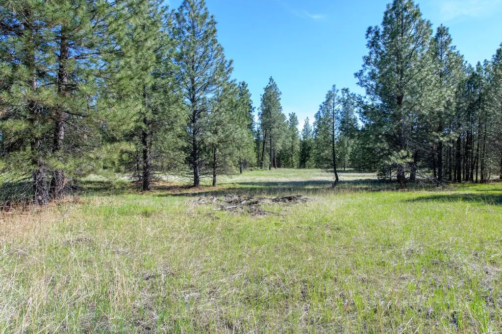 2650 Sophie Lake Road Eureka MT 59917