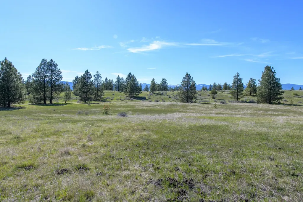 2650 Sophie Lake Road Eureka MT 59917