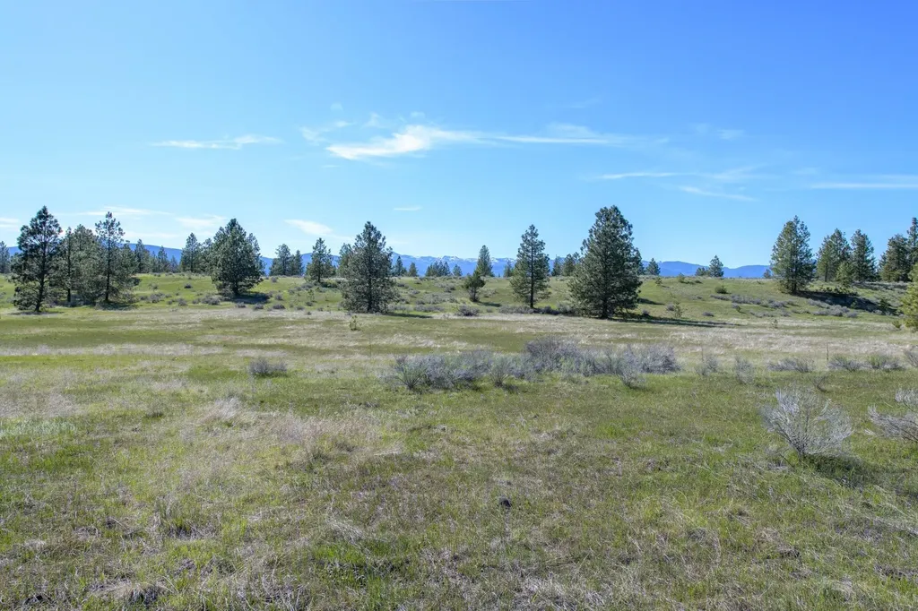2650 Sophie Lake Road Eureka MT 59917