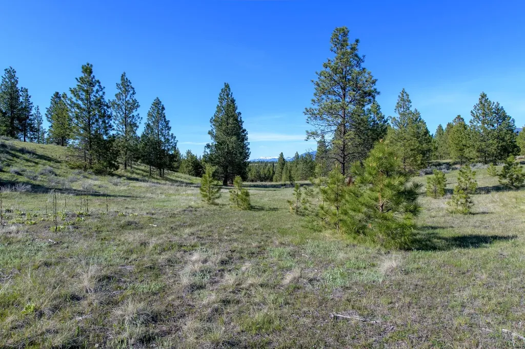 2650 Sophie Lake Road Eureka MT 59917