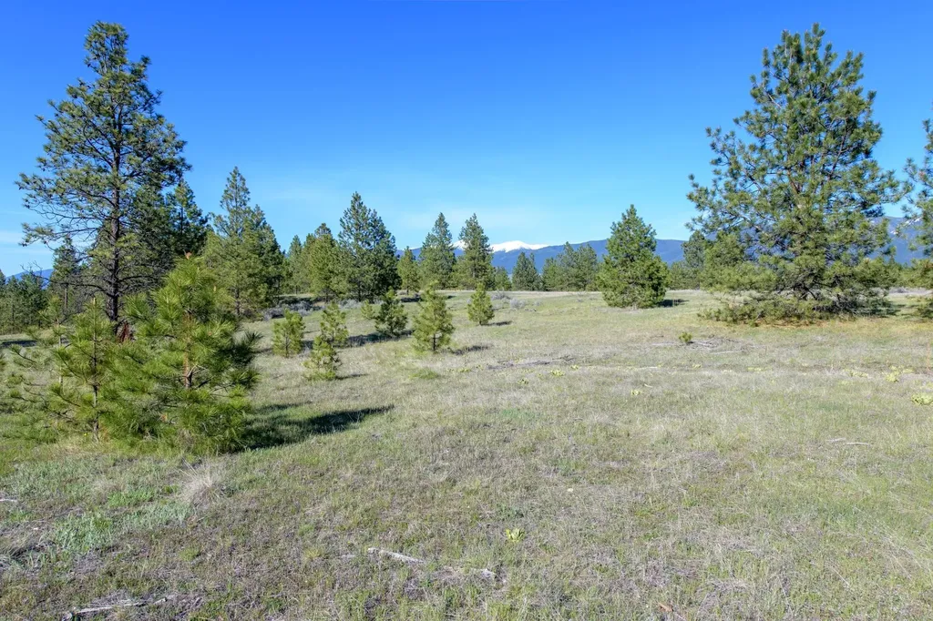 2650 Sophie Lake Road Eureka MT 59917