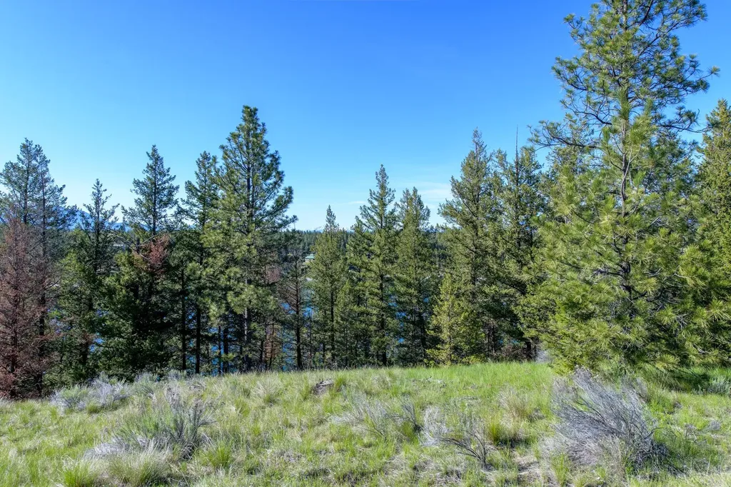 2650 Sophie Lake Road Eureka MT 59917