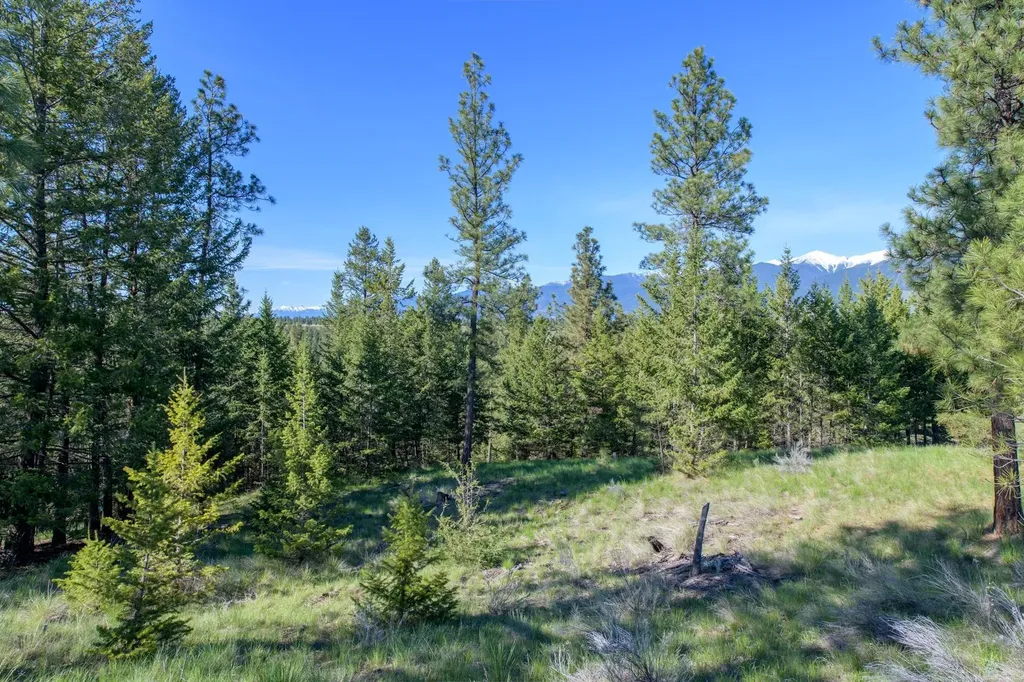 2650 Sophie Lake Road Eureka MT 59917