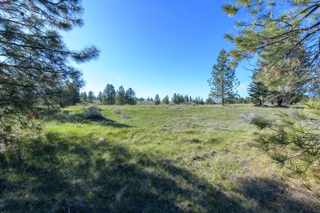 2650 Sophie Lake Road Eureka MT 59917
