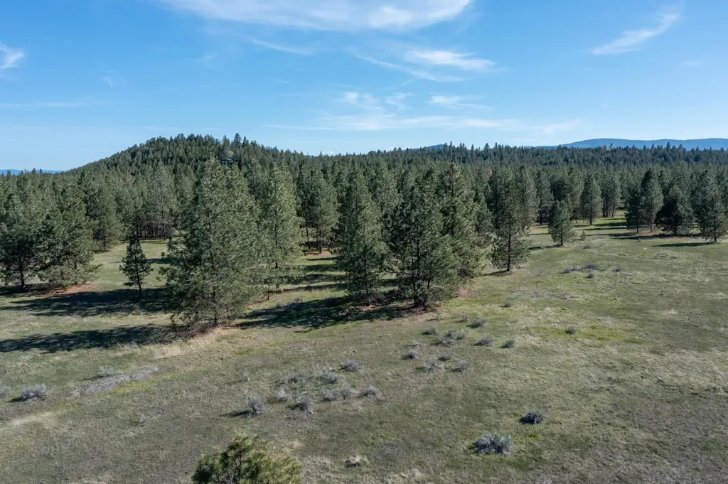 2650 Sophie Lake Road Eureka MT 59917