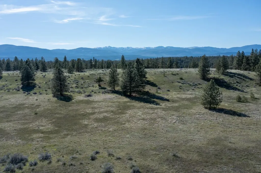 2650 Sophie Lake Road Eureka MT 59917