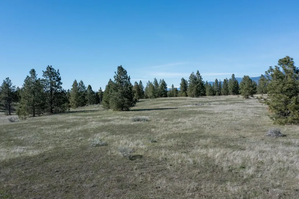 2650 Sophie Lake Road Eureka MT 59917
