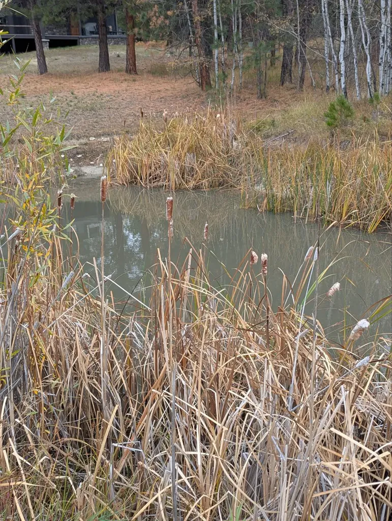 Blue Moose Ponds, Llc Stevensville MT 59870