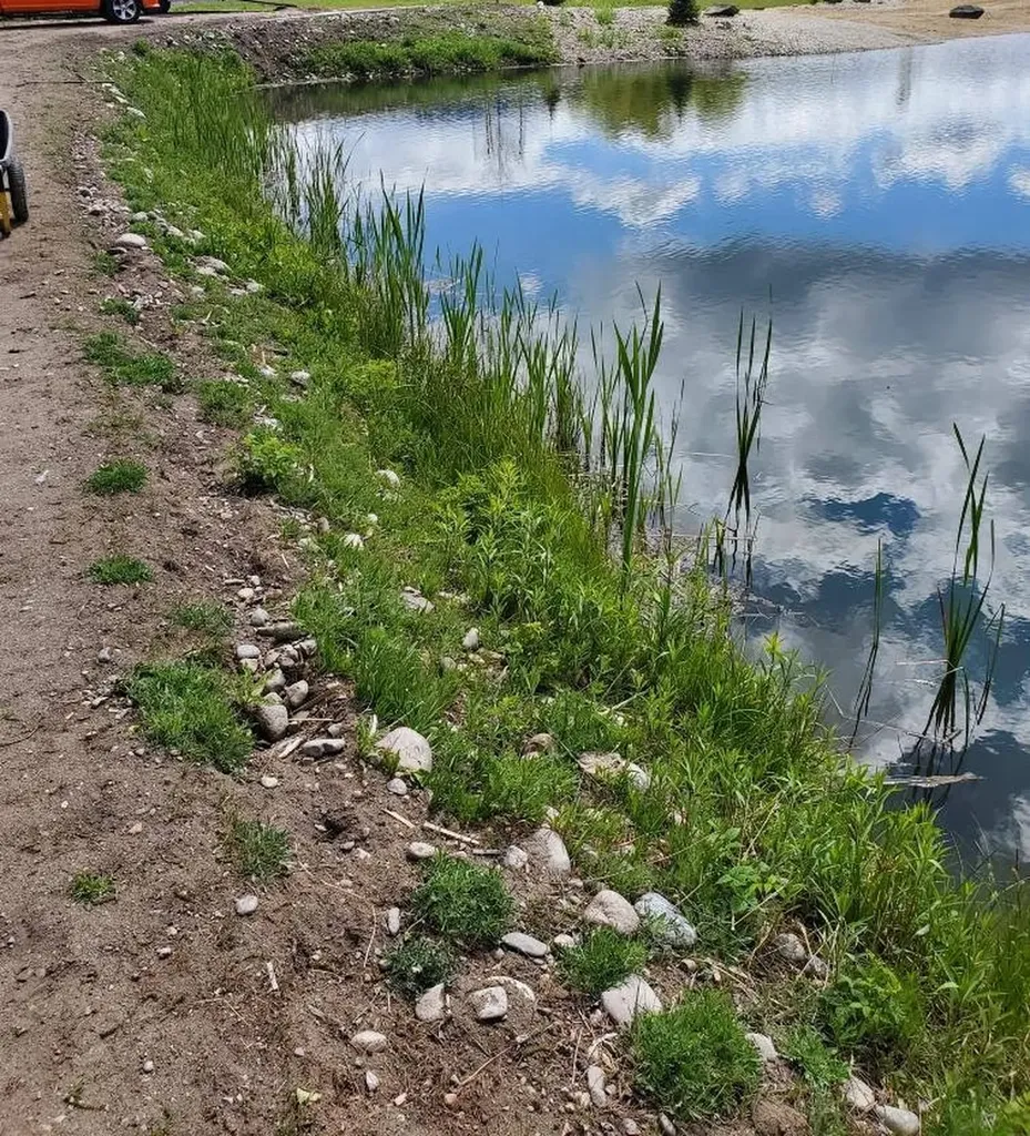Blue Moose Ponds, Llc Stevensville MT 59870