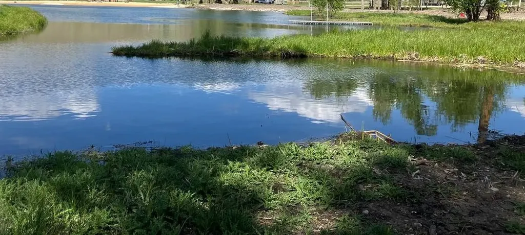 Blue Moose Ponds, Llc Stevensville MT 59870