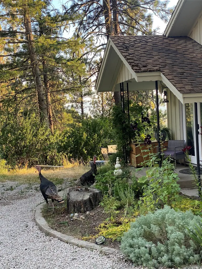 1806 Madera Drive Missoula MT 59802