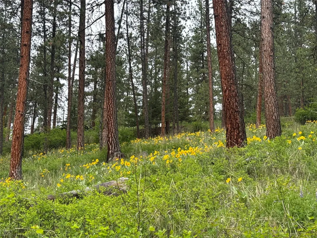 1806 Madera Drive Missoula MT 59802