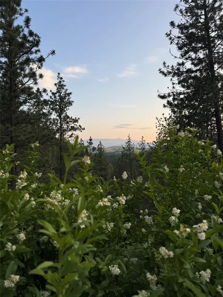 1806 Madera Drive Missoula MT 59802