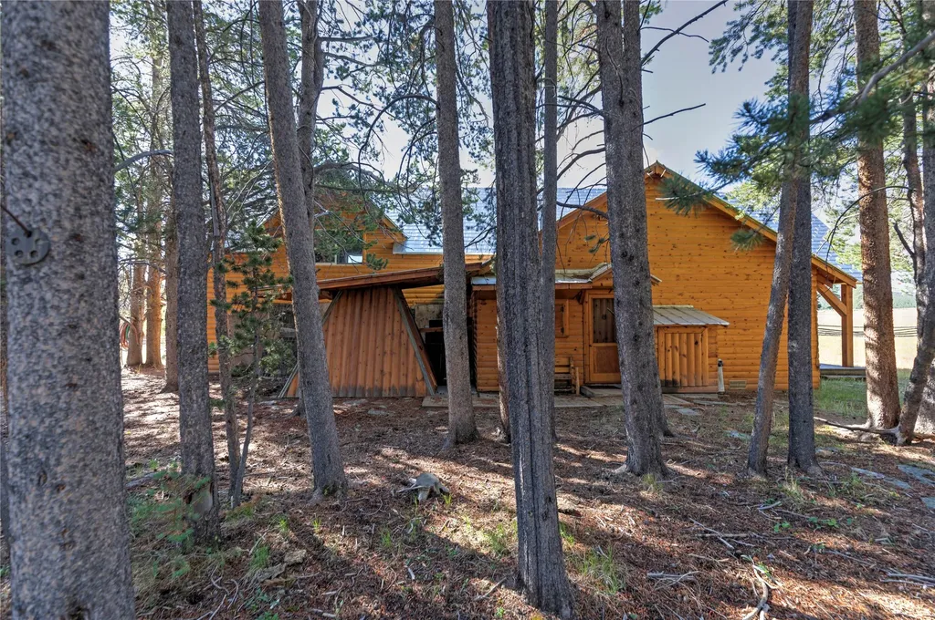 11203 Skinner Meadows Road Jackson MT 59736