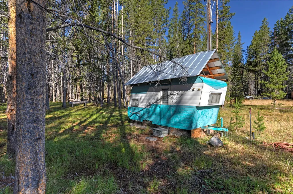 11203 Skinner Meadows Road Jackson MT 59736