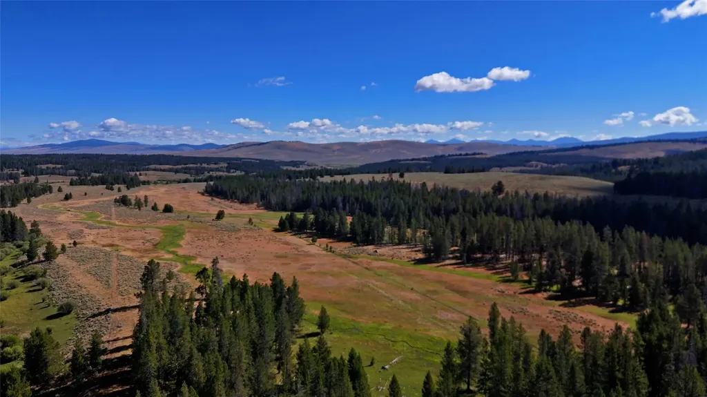 11203 Skinner Meadows Road Jackson MT 59736