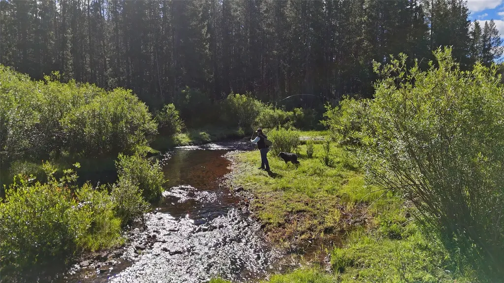 11203 Skinner Meadows Road Jackson MT 59736