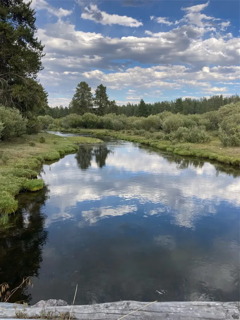 11203 Skinner Meadows Road Jackson MT 59736