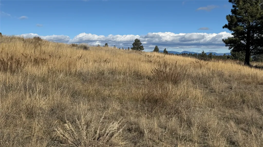 Tbd Meadow Lane Clancy MT 59634