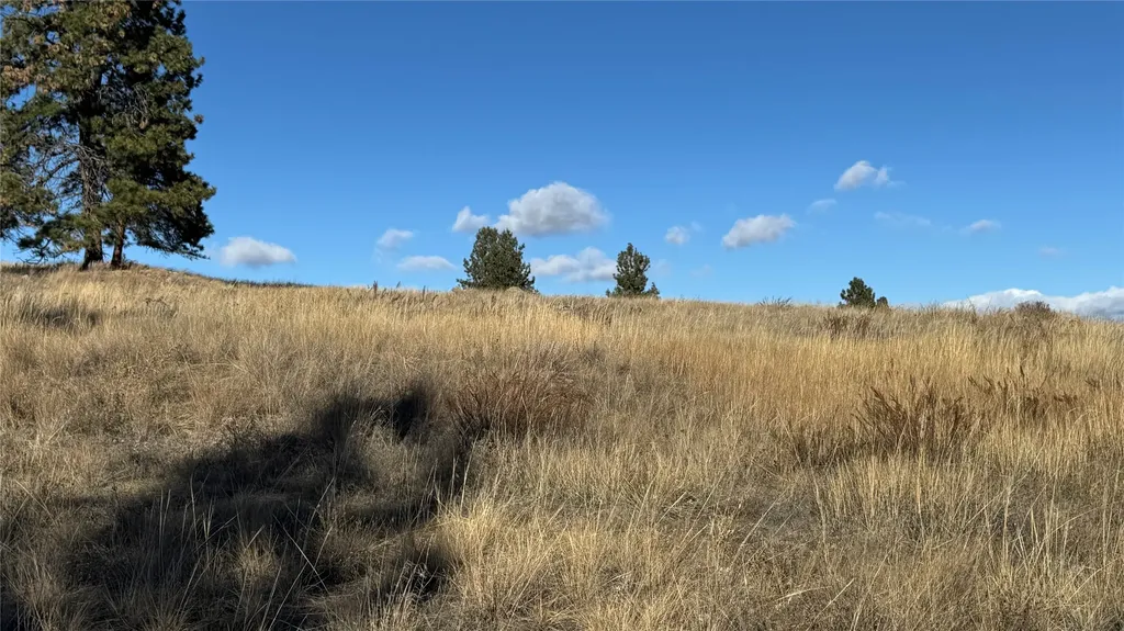 Tbd Meadow Lane Clancy MT 59634
