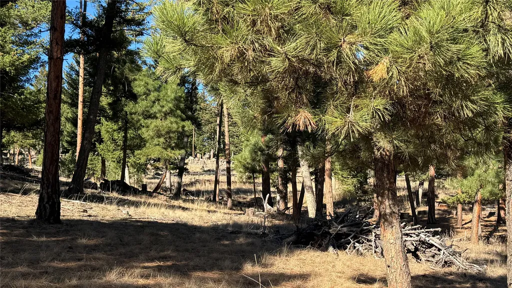 22 Meadow Lane Clancy MT 59634