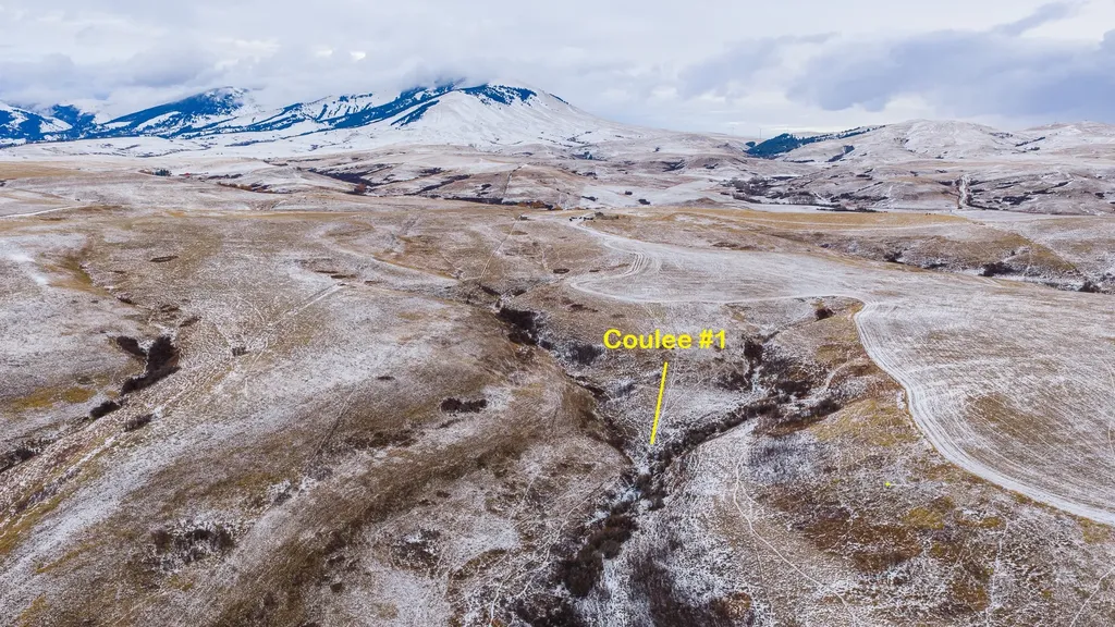 Nhn Cora Creek Road Belt MT 59412