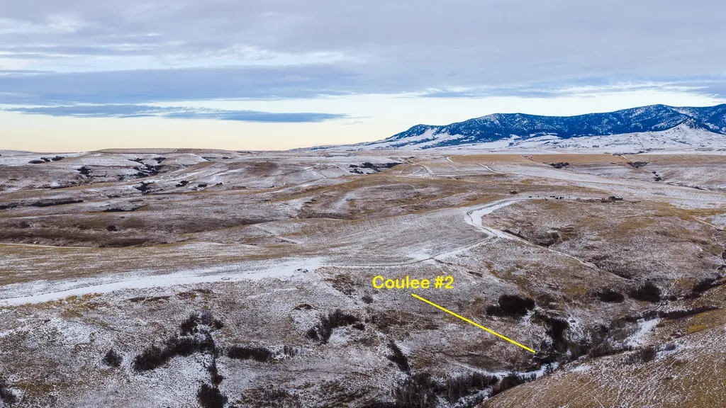 Nhn Cora Creek Road Belt MT 59412