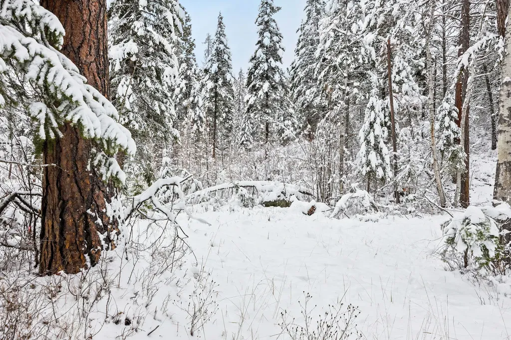 375 Ranch Road Bigfork MT 59911