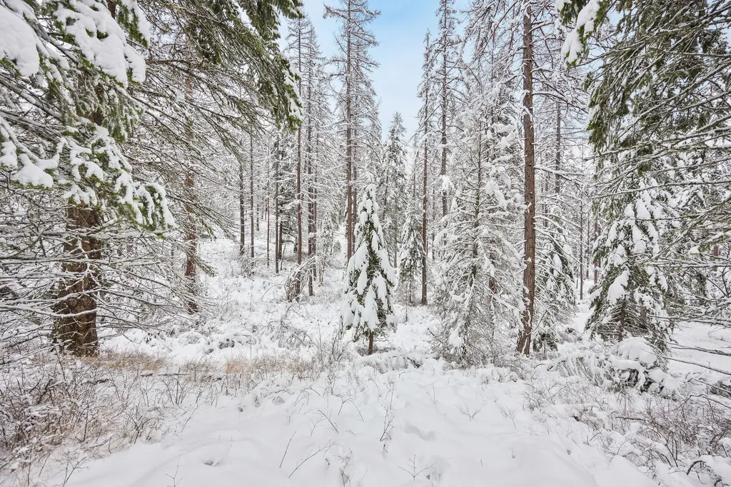 375 Ranch Road Bigfork MT 59911