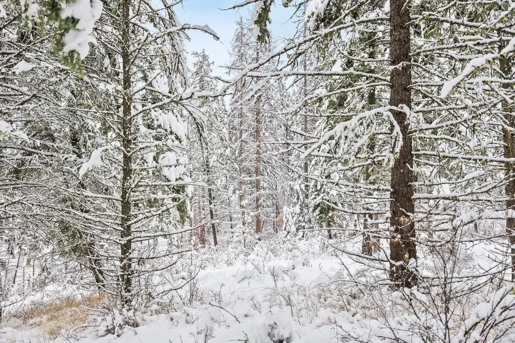 375 Ranch Road Bigfork MT 59911