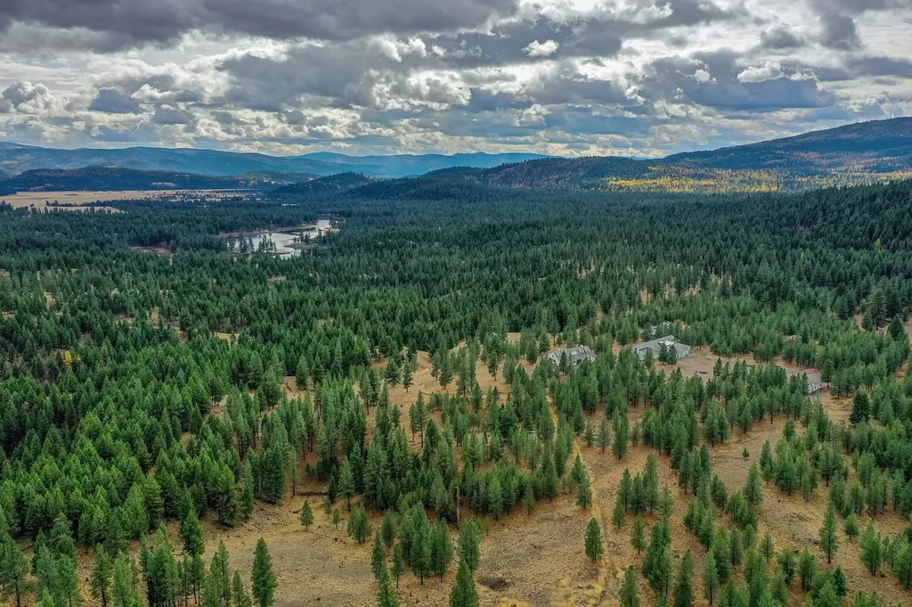42722 Elbow Lake Road Seeley Lake MT 59868