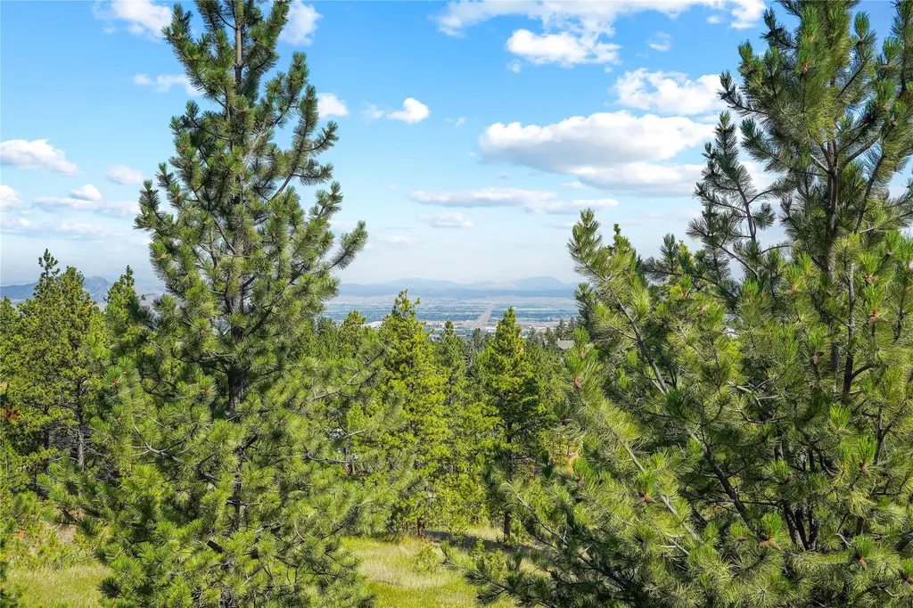 1 Columbine Drive Helena MT 59601
