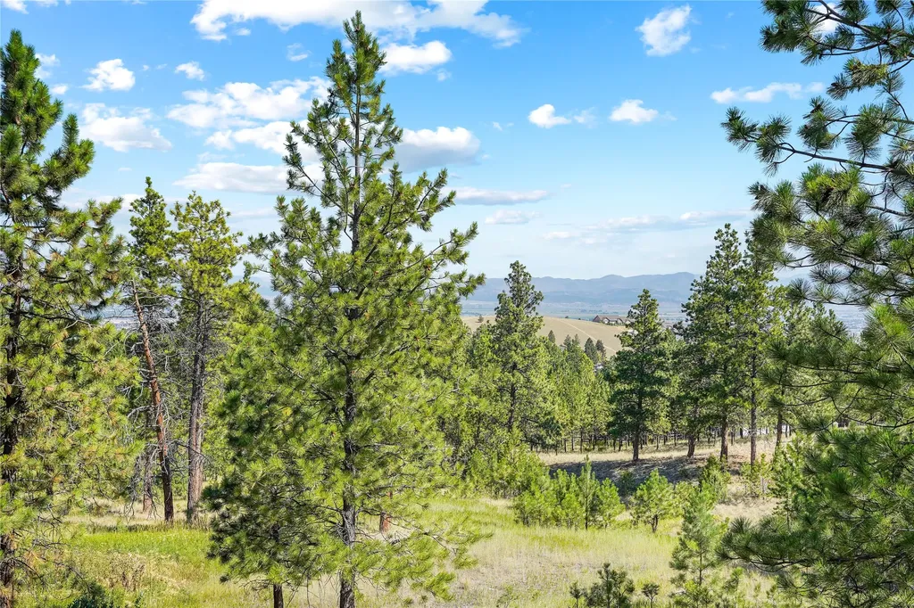 1 Columbine Drive Helena MT 59601
