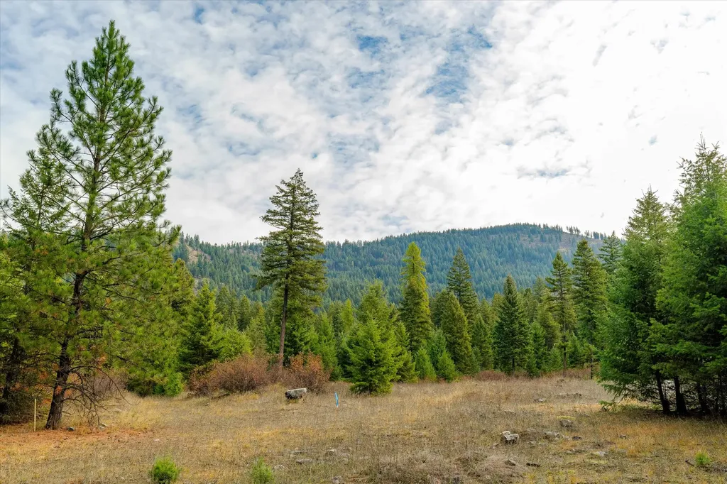Lot 4 Mckay Minor Road Noxon MT 59853