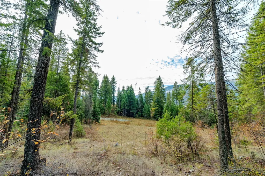 Lot 4 Mckay Minor Road Noxon MT 59853