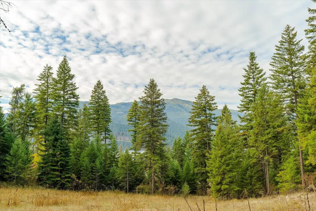 Lot 4 Mckay Minor Road Noxon MT 59853