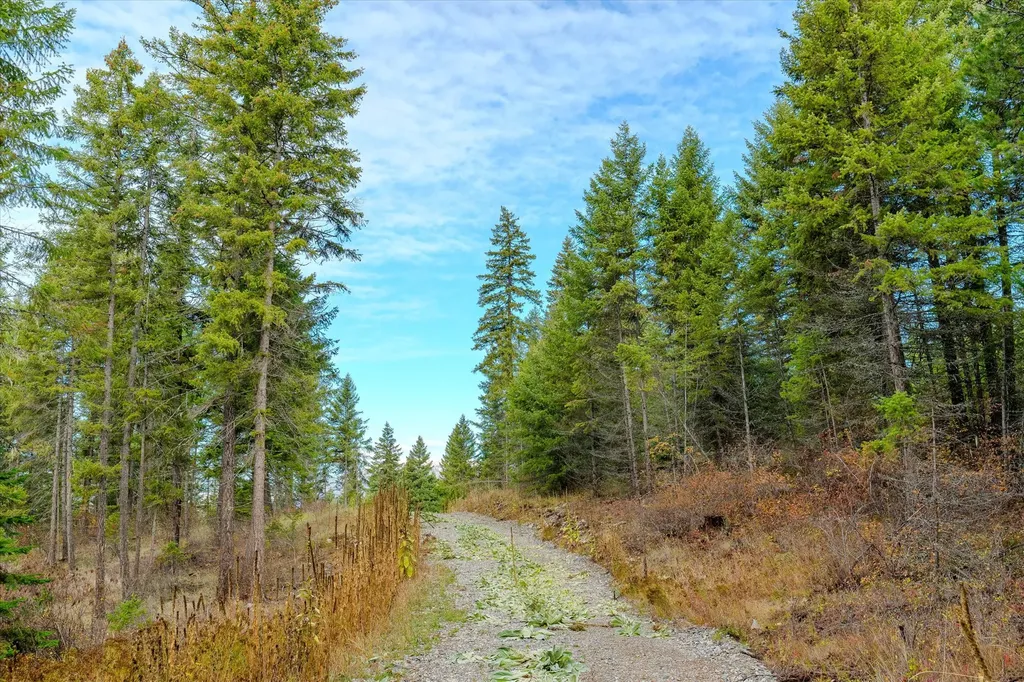 Lot 4 Mckay Minor Road Noxon MT 59853