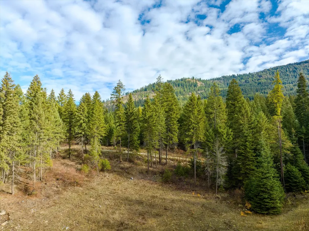 Lot 4 Mckay Minor Road Noxon MT 59853