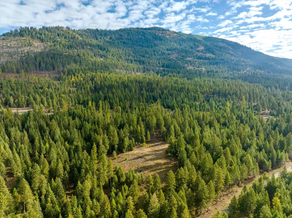Lot 4 Mckay Minor Road Noxon MT 59853