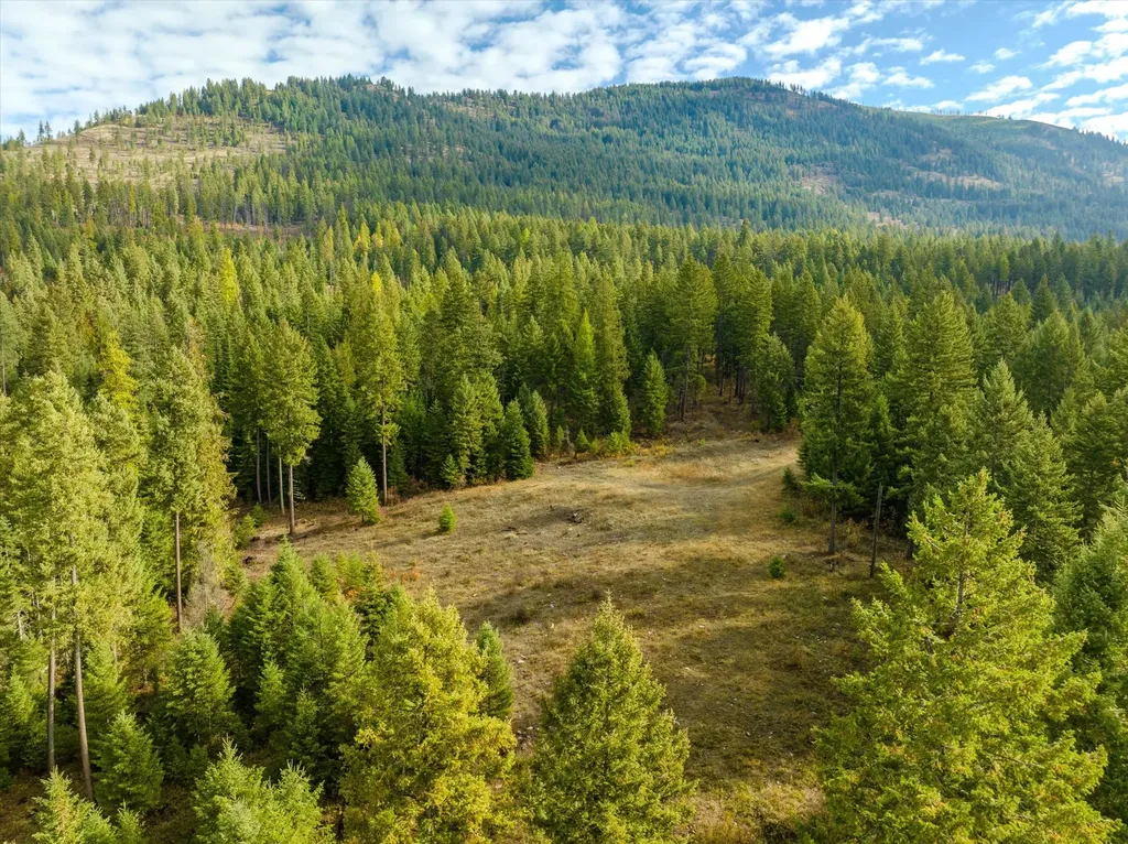 Lot 4 Mckay Minor Road Noxon MT 59853