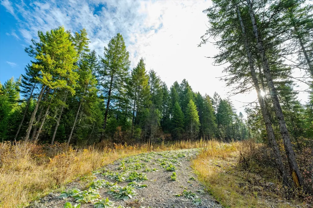 Lot 1 Mckay Minor Road Noxon MT 59853