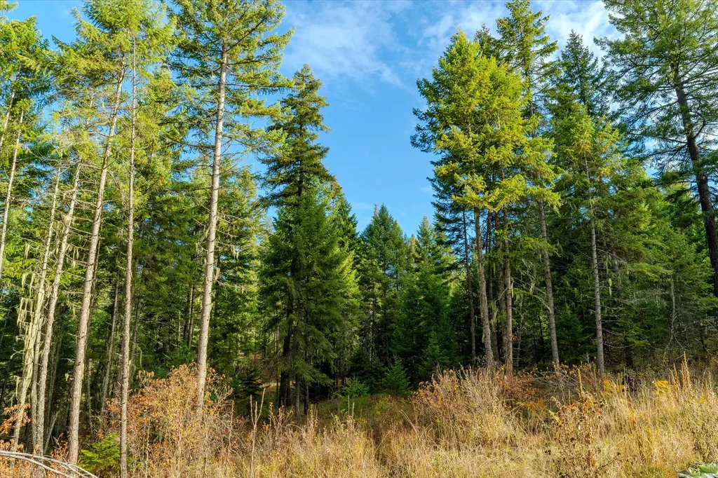 Lot 1 Mckay Minor Road Noxon MT 59853