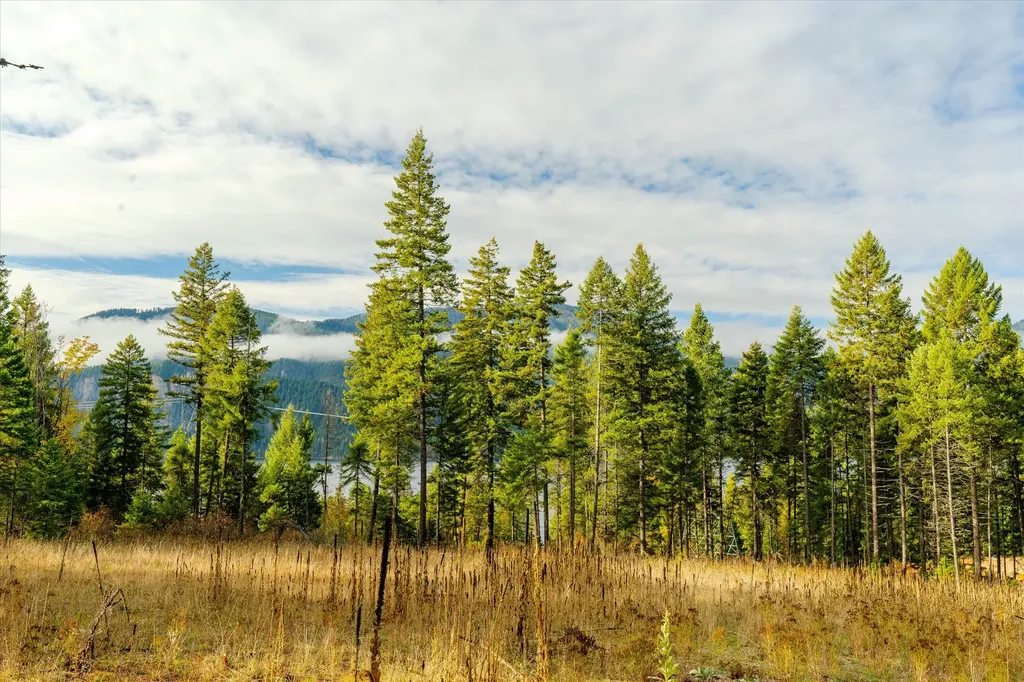 Lot 1 Mckay Minor Road Noxon MT 59853