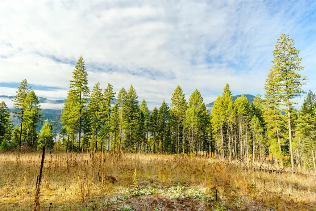 Lot 1 Mckay Minor Road Noxon MT 59853