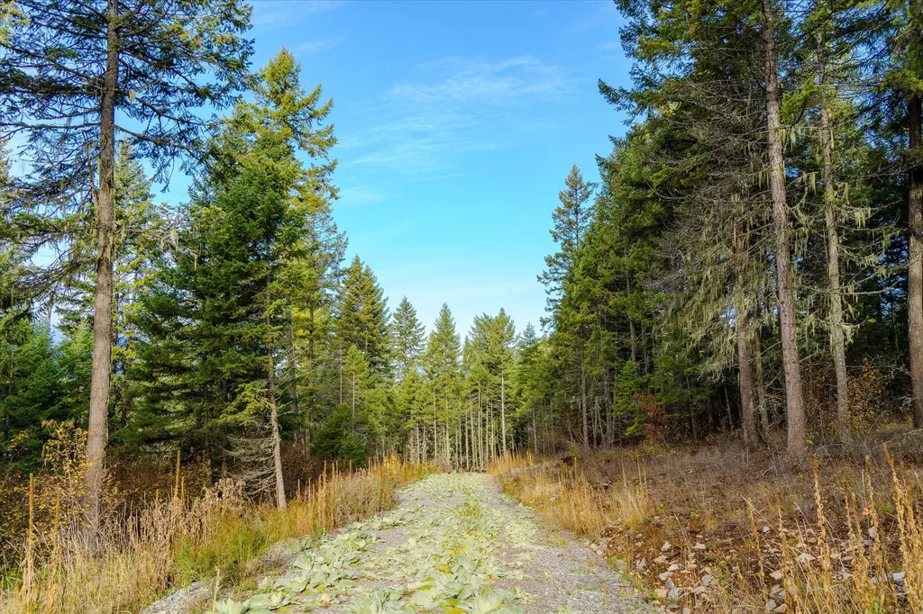Lot 1 Mckay Minor Road Noxon MT 59853
