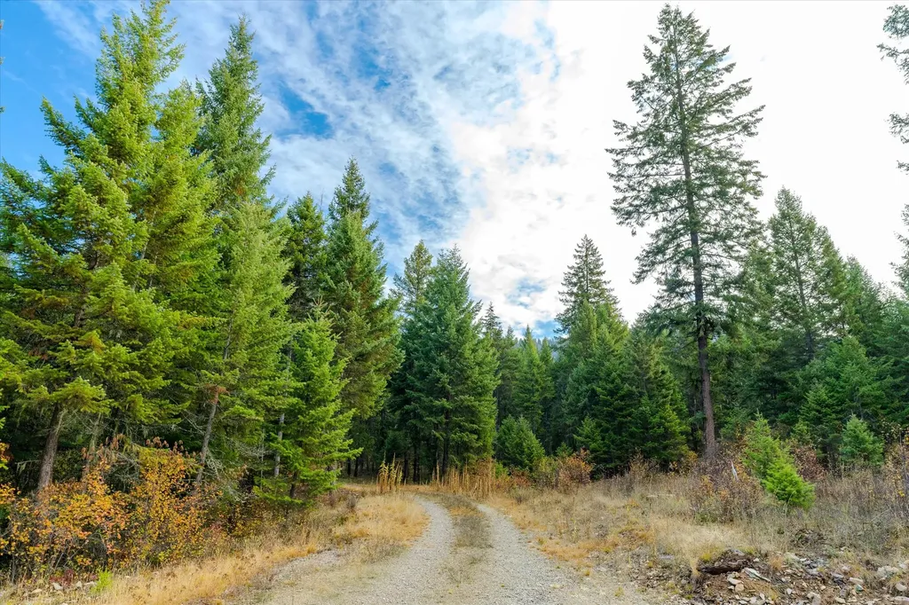 Lot 3 Mckay Minor Road Noxon MT 59853