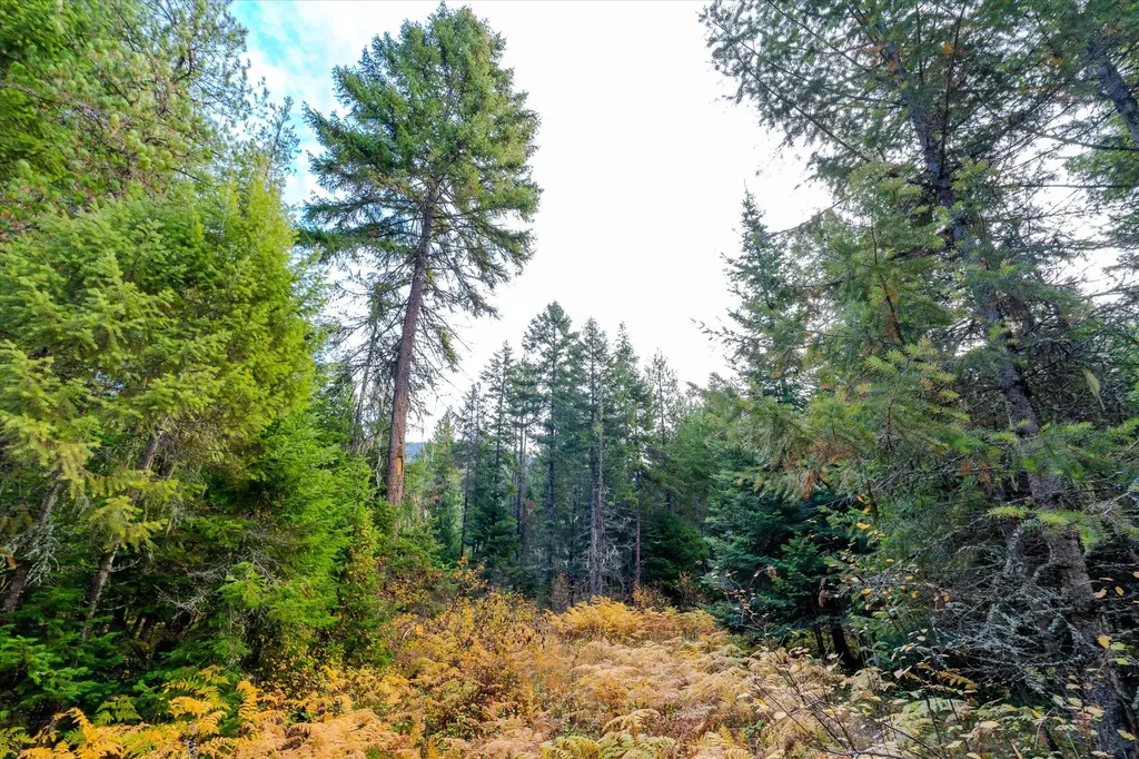 Lot 3 Mckay Minor Road Noxon MT 59853