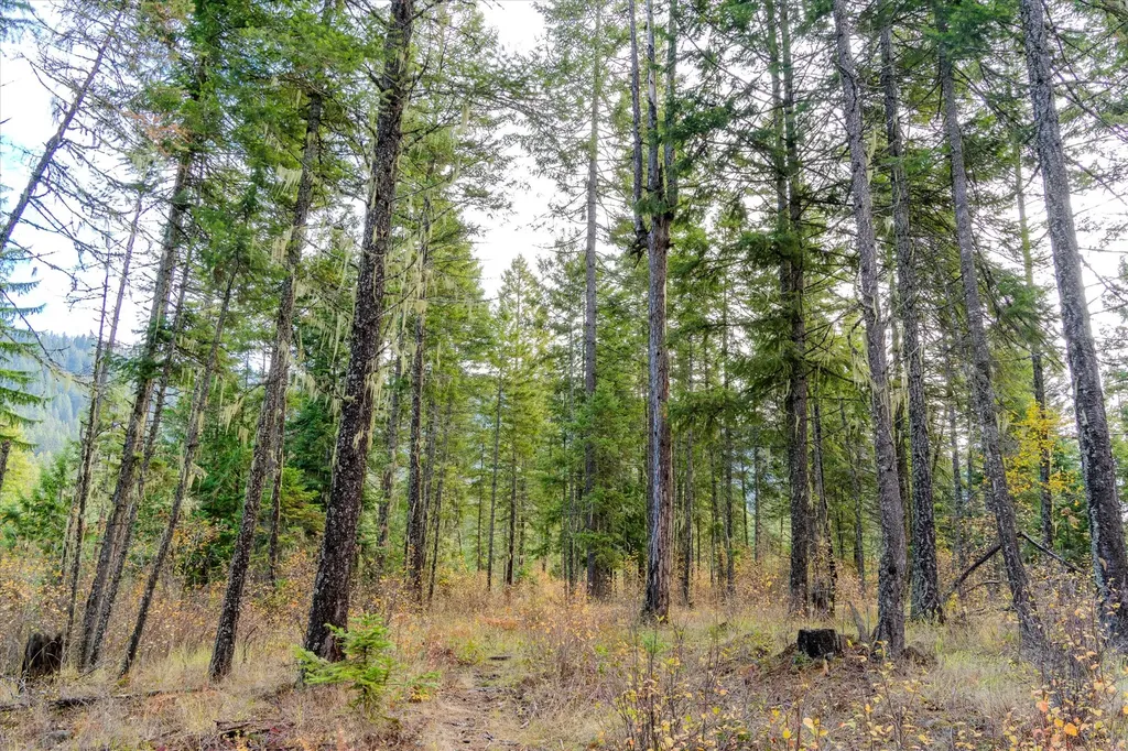 Lot 3 Mckay Minor Road Noxon MT 59853