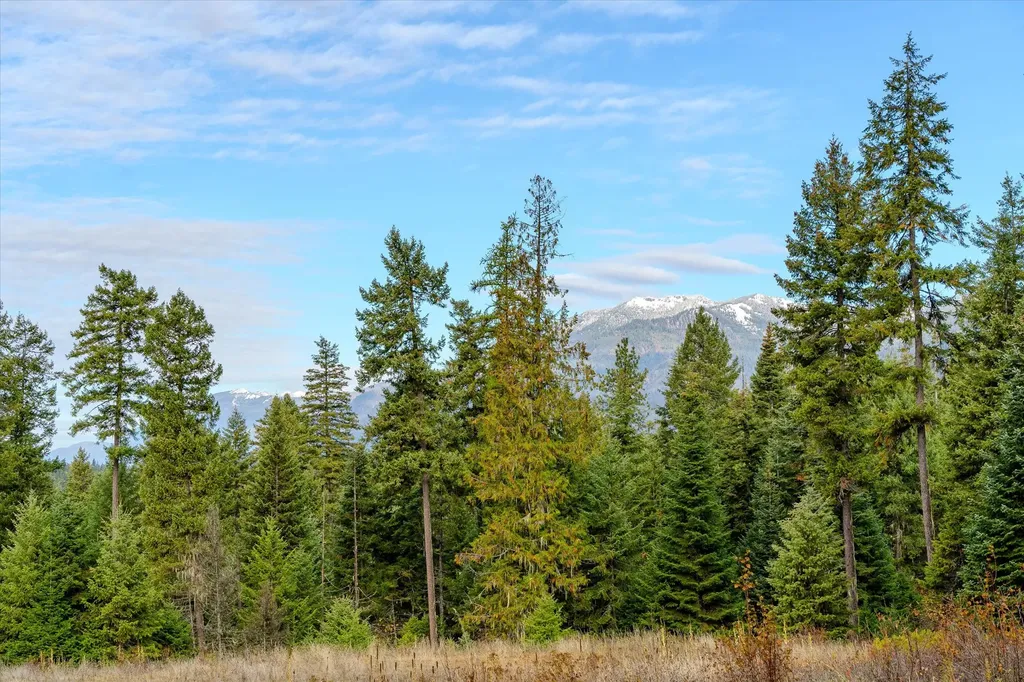 Lot 3 Mckay Minor Road Noxon MT 59853